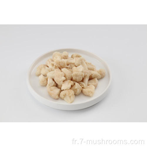 Mushroom de la crinière de lion congelé-500g